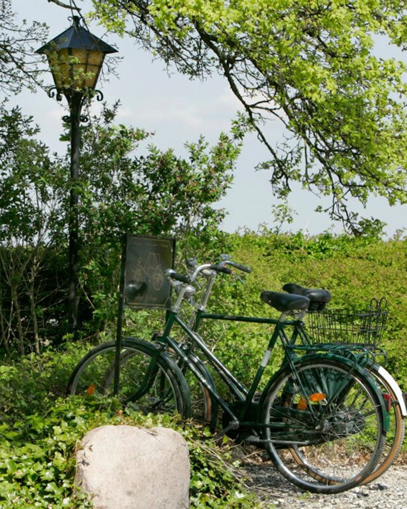 The Cottage på Sydhavsøerne