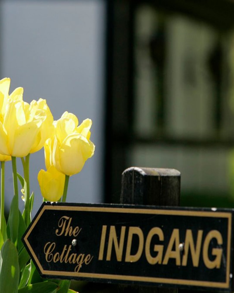 The Cottage på Sydhavsøerne