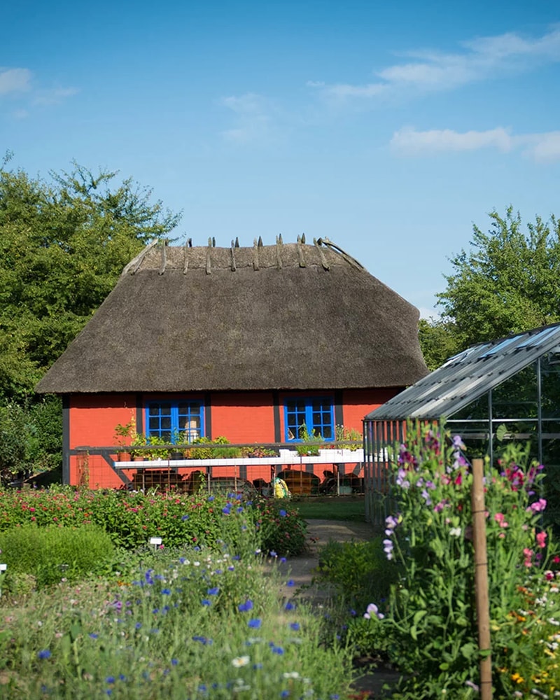 Slotsidyl og forkælelse ved Lillebælt - Hindsgavl Slot