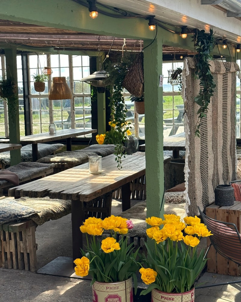 NYHED: Glamping på Lynæs Surfcenter