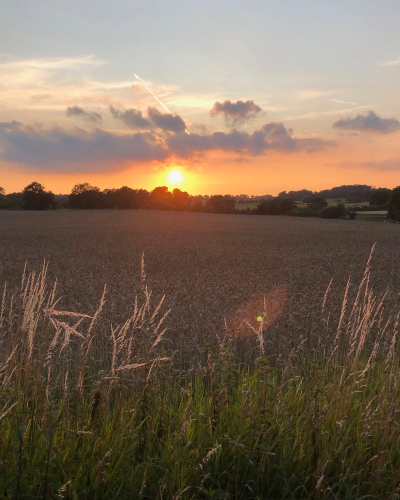 HALV PRIS: Oplev Tullesbo Sätesgård i Skåne