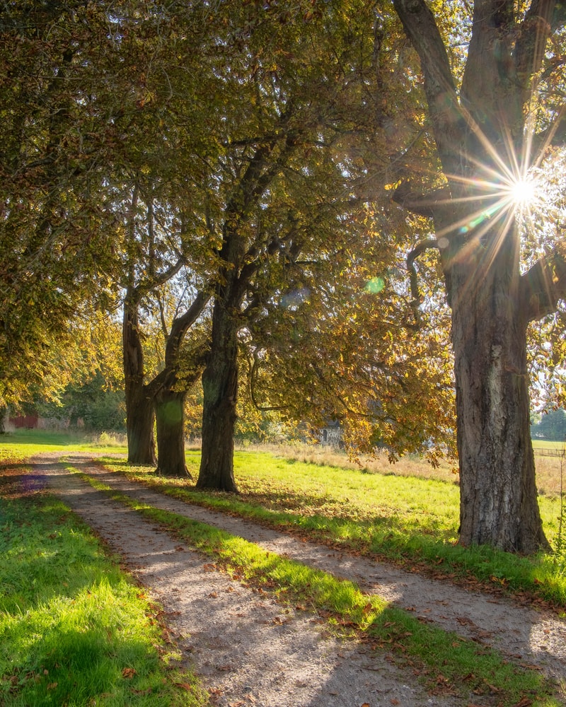 HALV PRIS: Oplev Tullesbo Sätesgård i Skåne