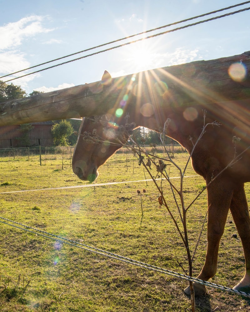HALV PRIS: Oplev Tullesbo Sätesgård i Skåne