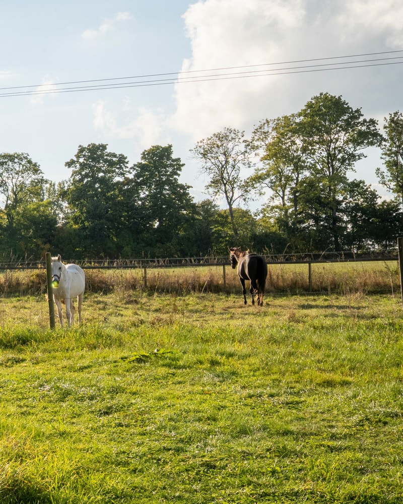 HALV PRIS: Oplev Tullesbo Sätesgård i Skåne