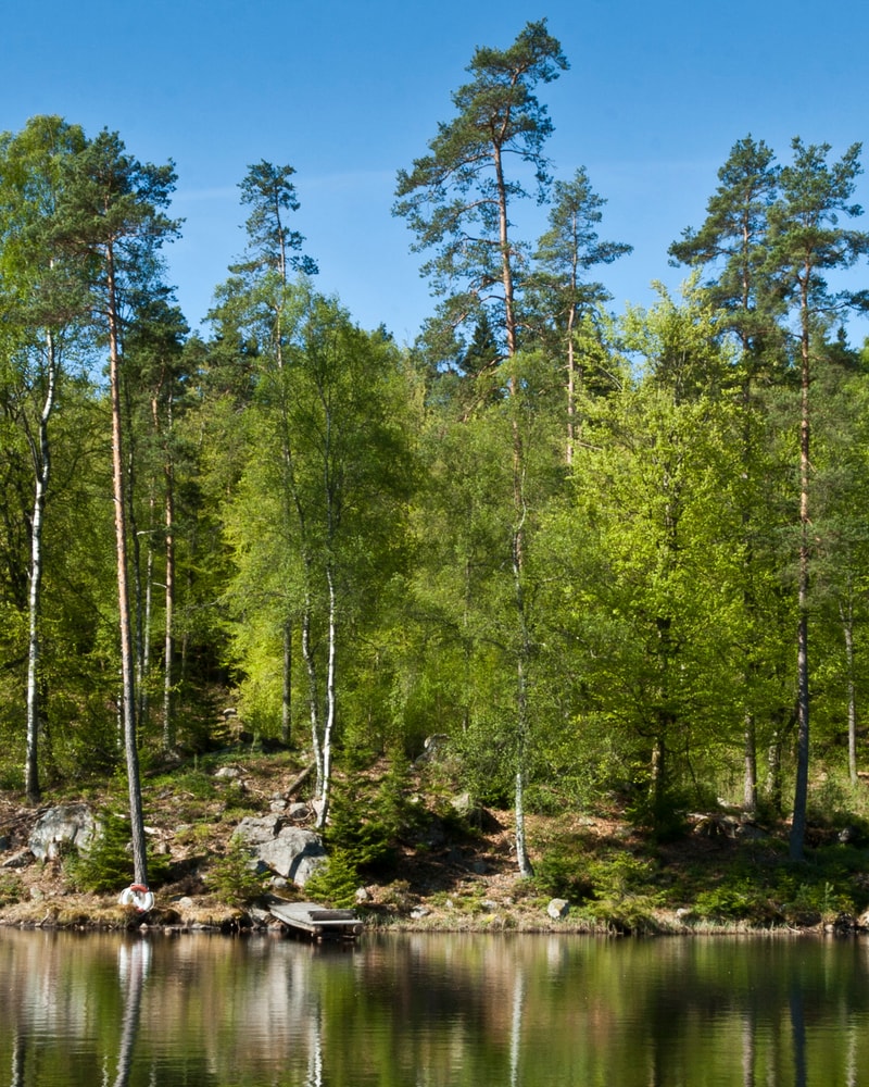 NYHED: Elite Hotel Mårtensson