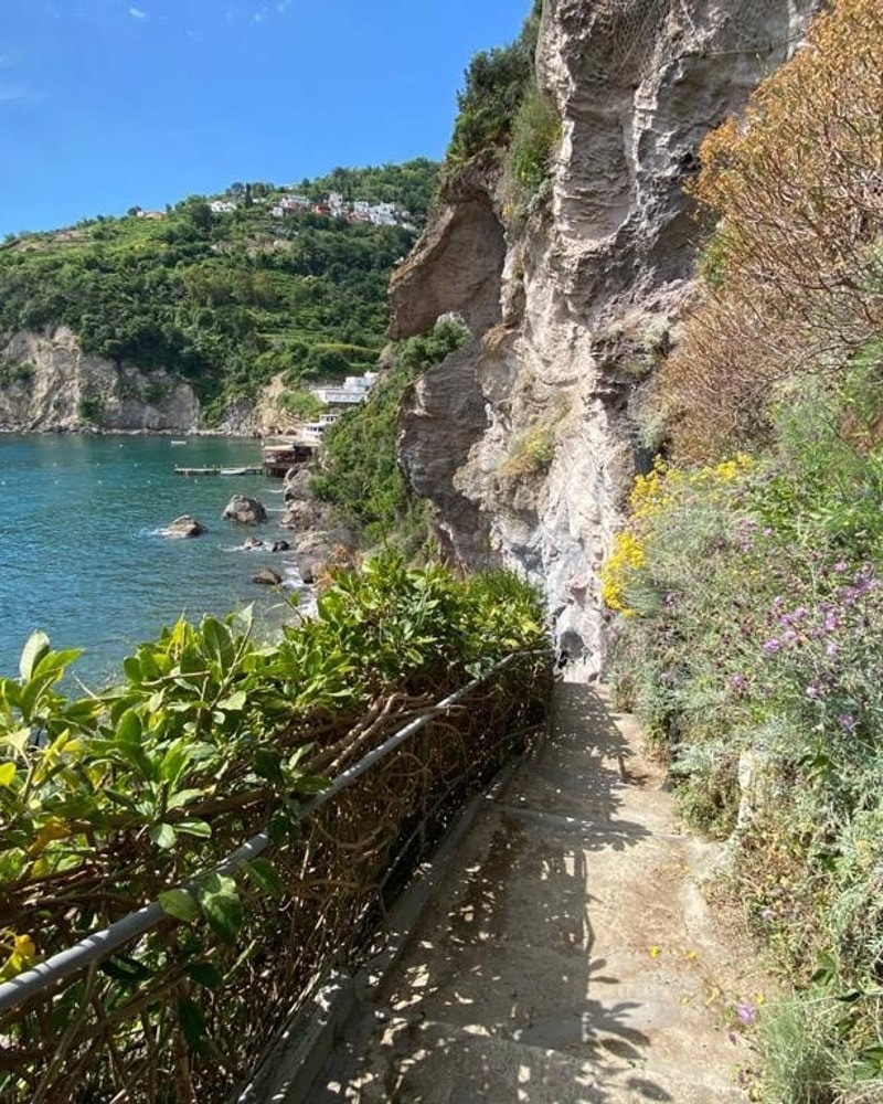 Fortryllende rejse til italiener-øen Ischia