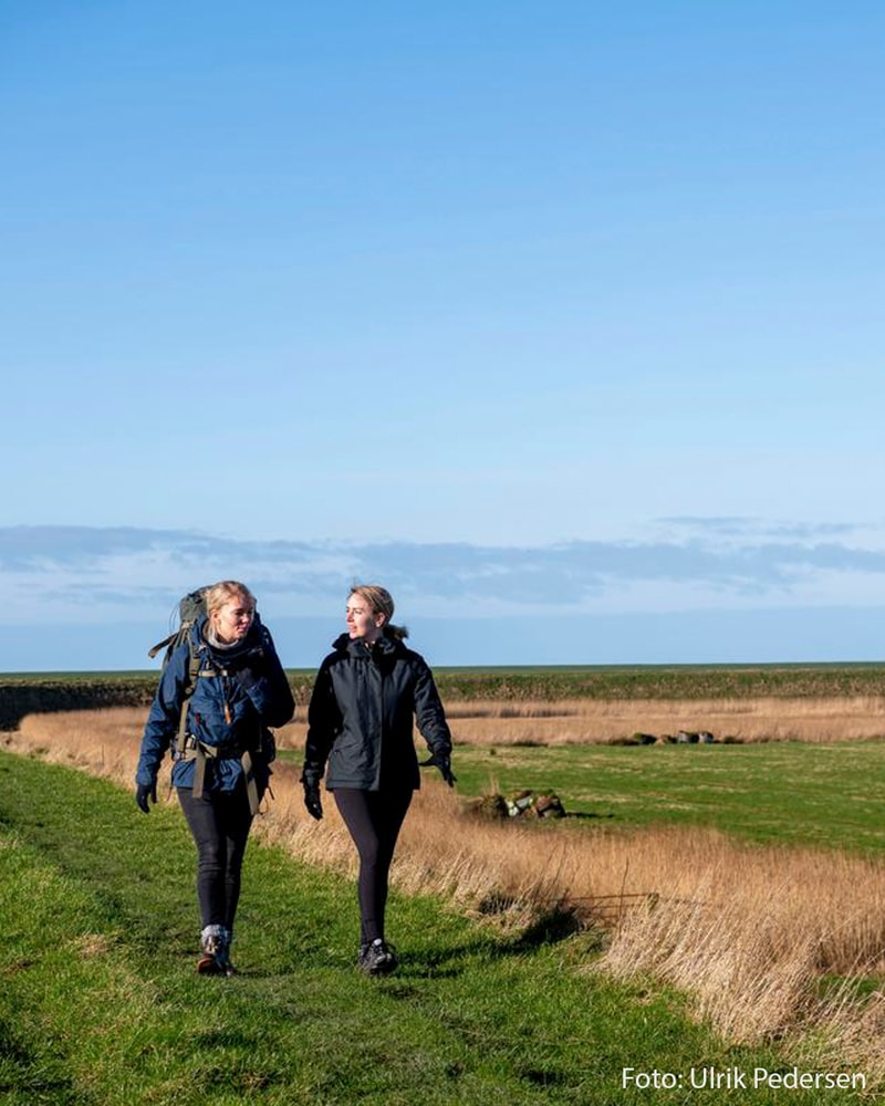 Ophold og vandring ved Tønder