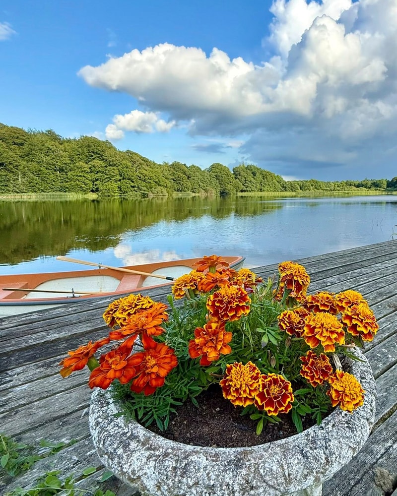 NYHED: Eksklusivt slotsophold på Skjoldenæsholm