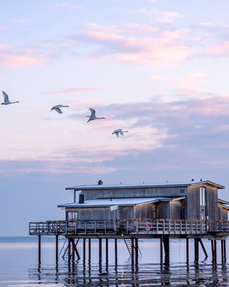 Nyd det bedste i livet på Hotel Skansen