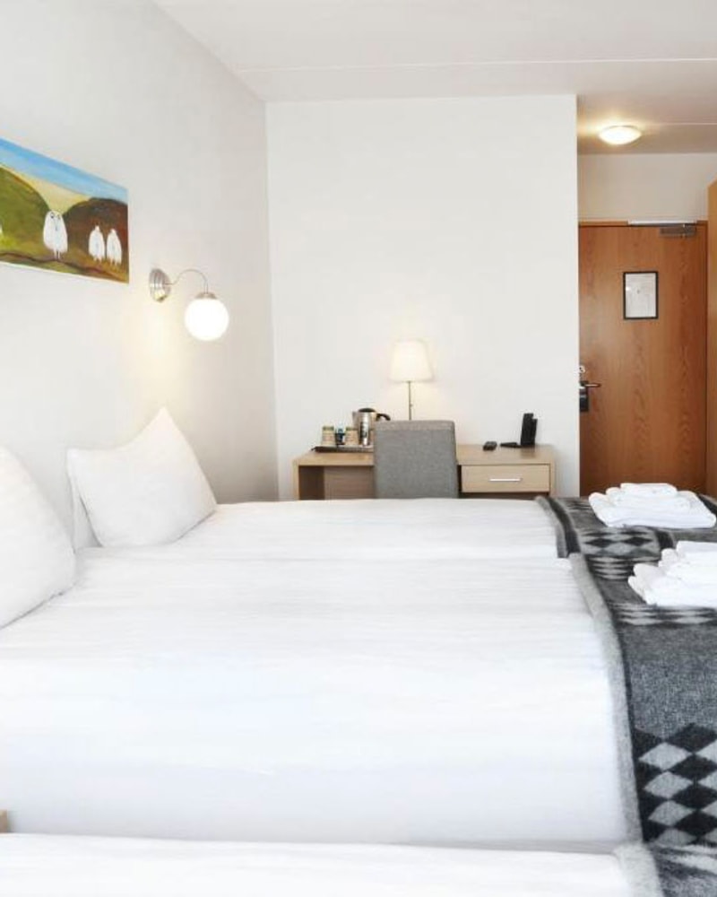 Oplevelsesrejse til Island