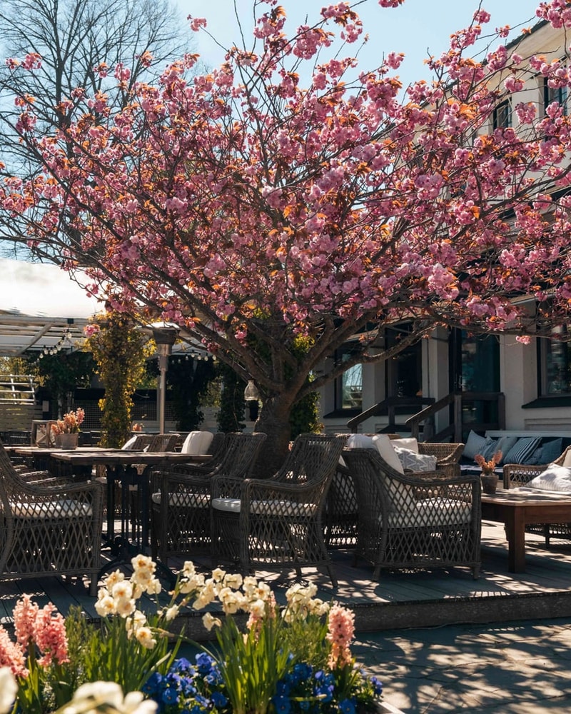 Spa-ophold på Ystad Saltsjöbad