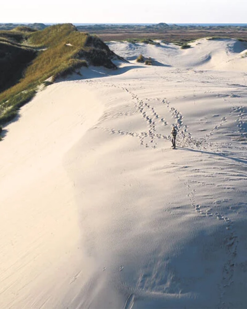 SÆRPRIS: Familieferie på Skagen Strand Resort
