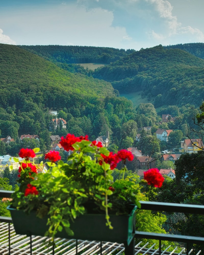 All Inclusive: Hotel Harzhöhe | 3 overnatninger