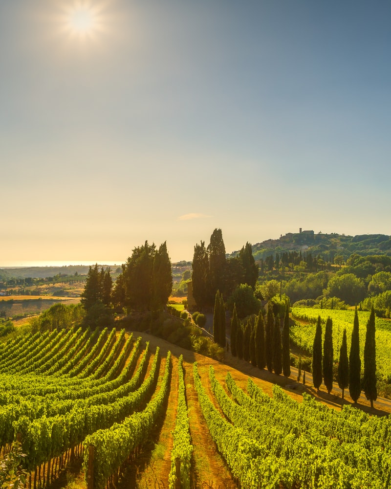 Rejs til fortryllende Toscana
