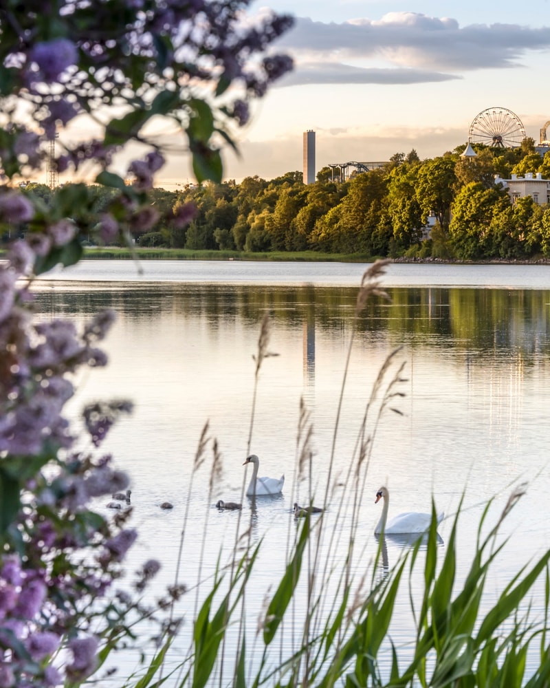 Oplev Helsinki - Finlands hovedstad