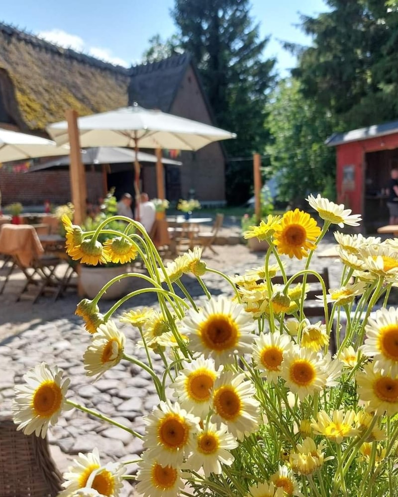 Glamping og vingårdsidyl på Garbolund
