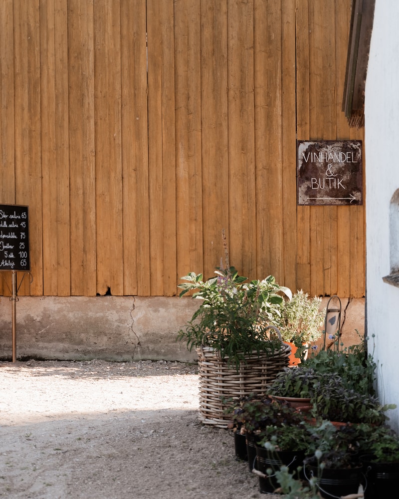 Glamping og vingårdsidyl på Garbolund