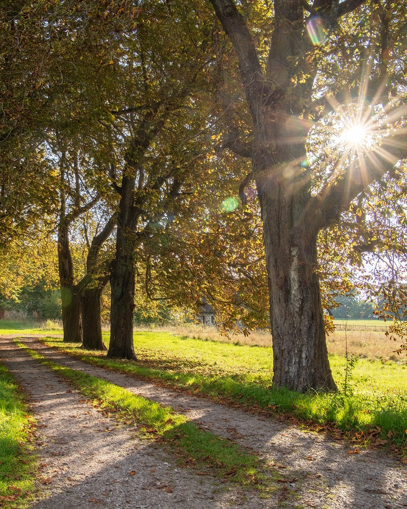 SPAR OP TIL 50 %: Glamping i den svenske natur