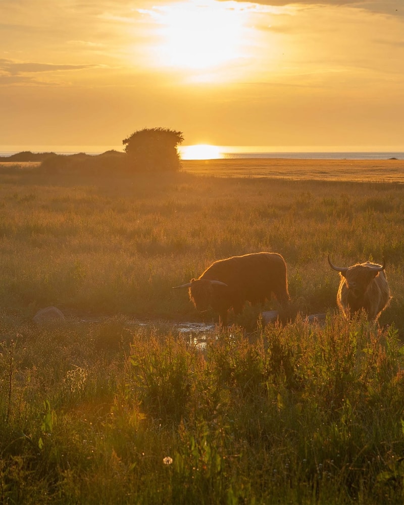 Glamping/Ophold på Samsø Badehotel