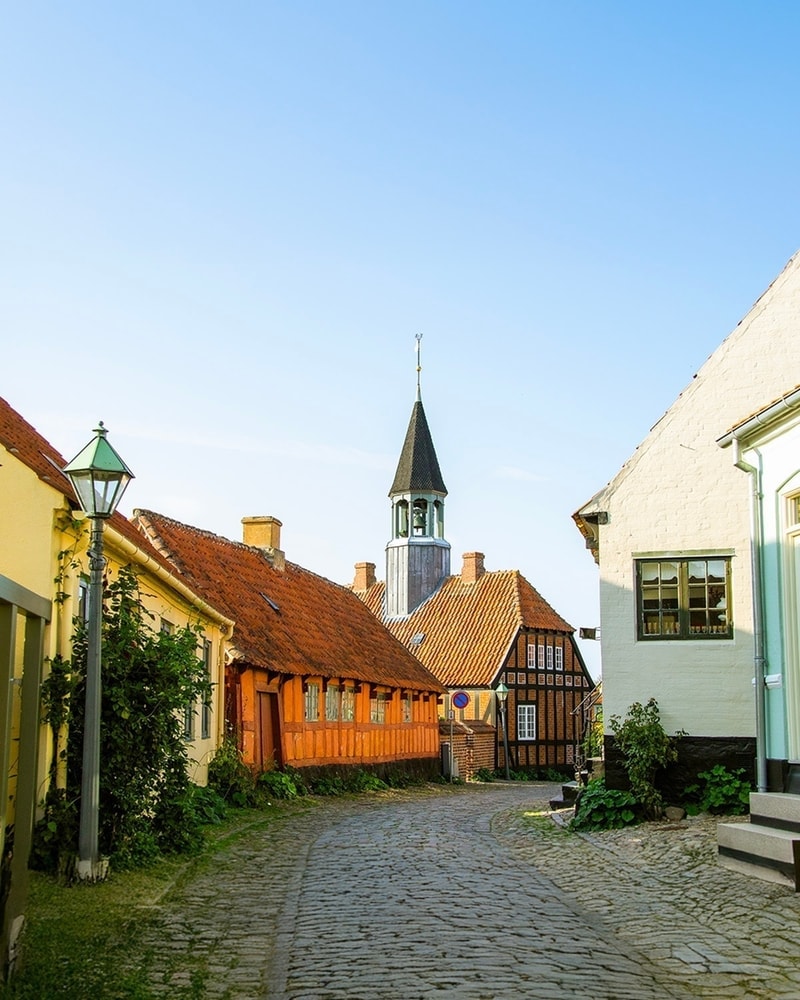 Fuglsøcentret i Mols Bjerge