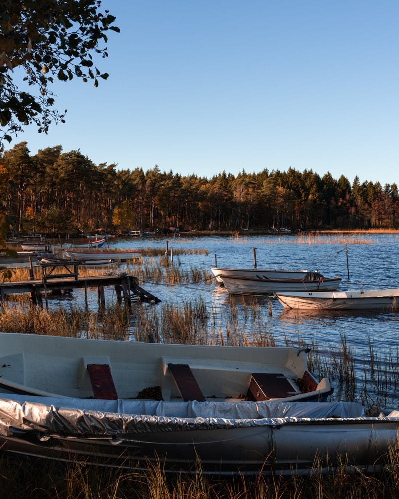 SÆRPRIS: 4-Stjernet Design-Hotel i Sverige