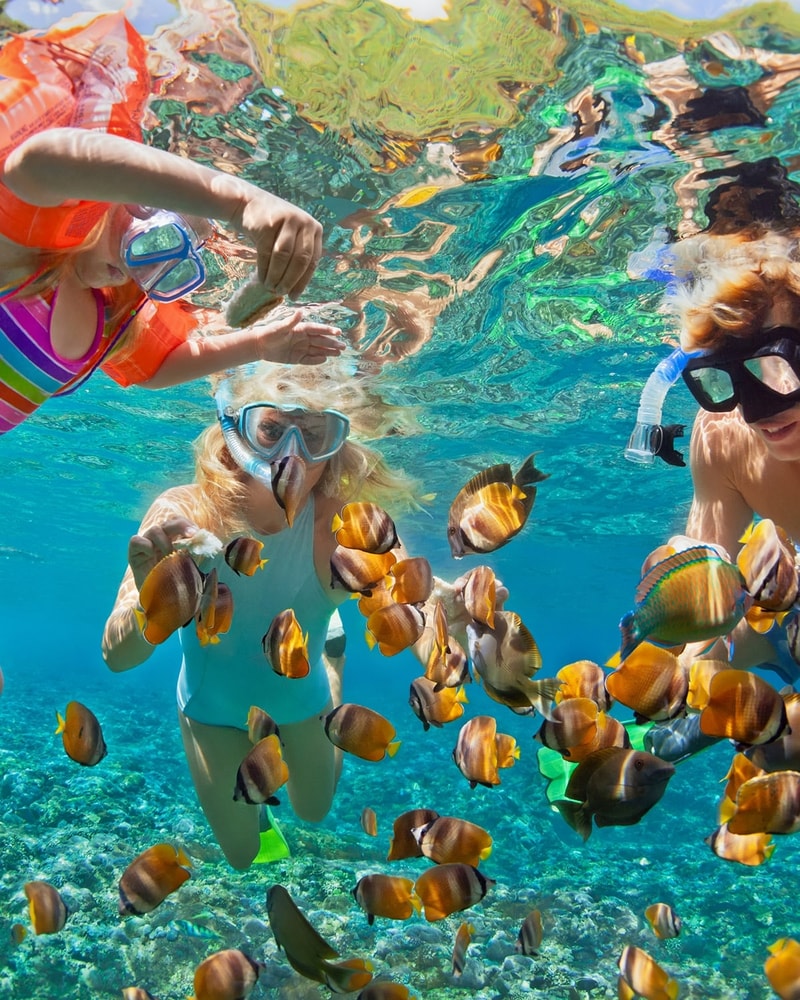 Drømmerejsen - Ø-hop på Bali og Gili-øerne