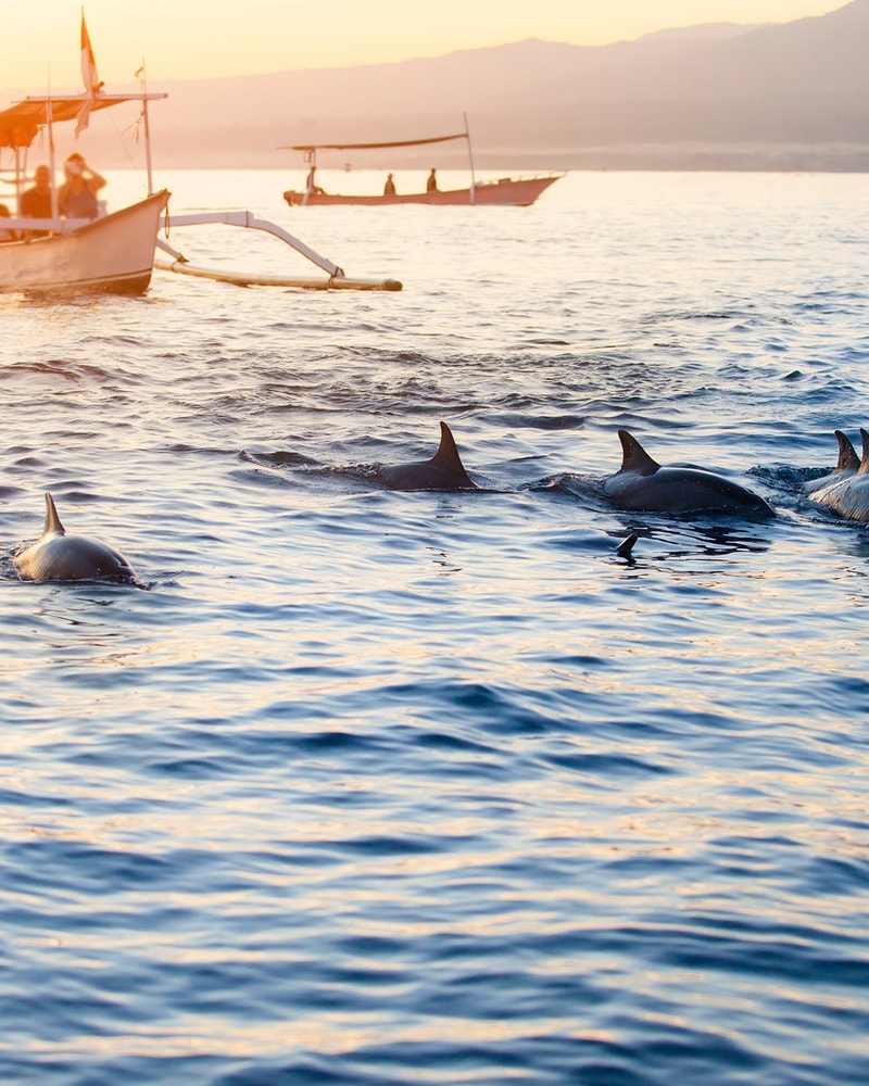 Drømmerejsen - Ø-hop på Bali og Gili-øerne