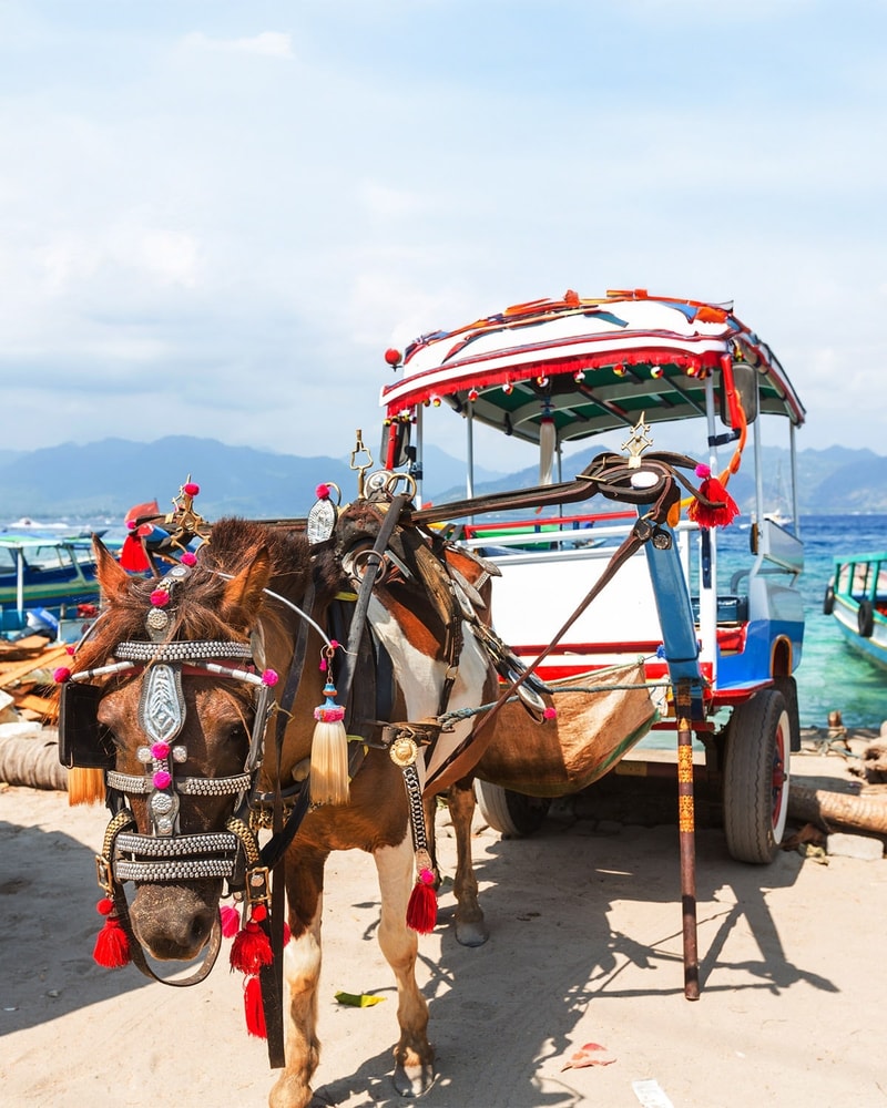 Drømmerejsen - Ø-hop på Bali og Gili-øerne