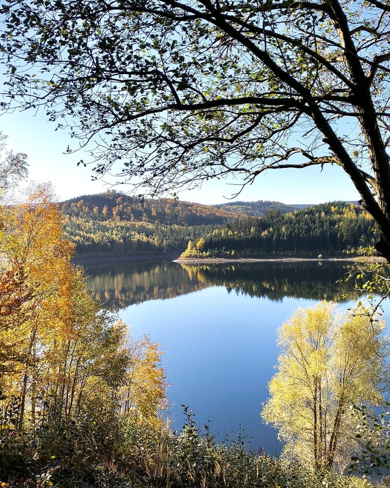 All Inclusive-ferie i Harzen - Hotel Allrode