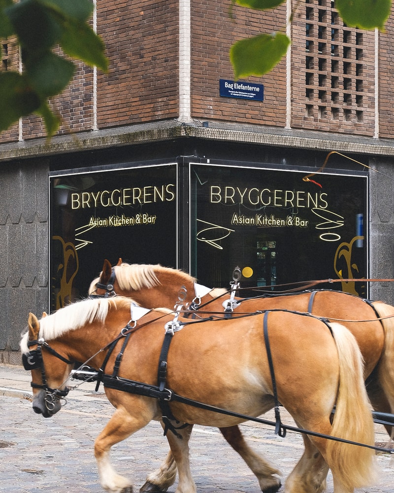 2 fadøl og asiatiske snacks til deling @ Bryggerens Asian Kitchen & Bar