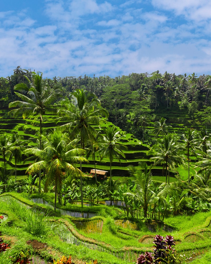 Drømmerejsen - Ø-hop på Bali, Gili-øerne og Nusa Lembongan