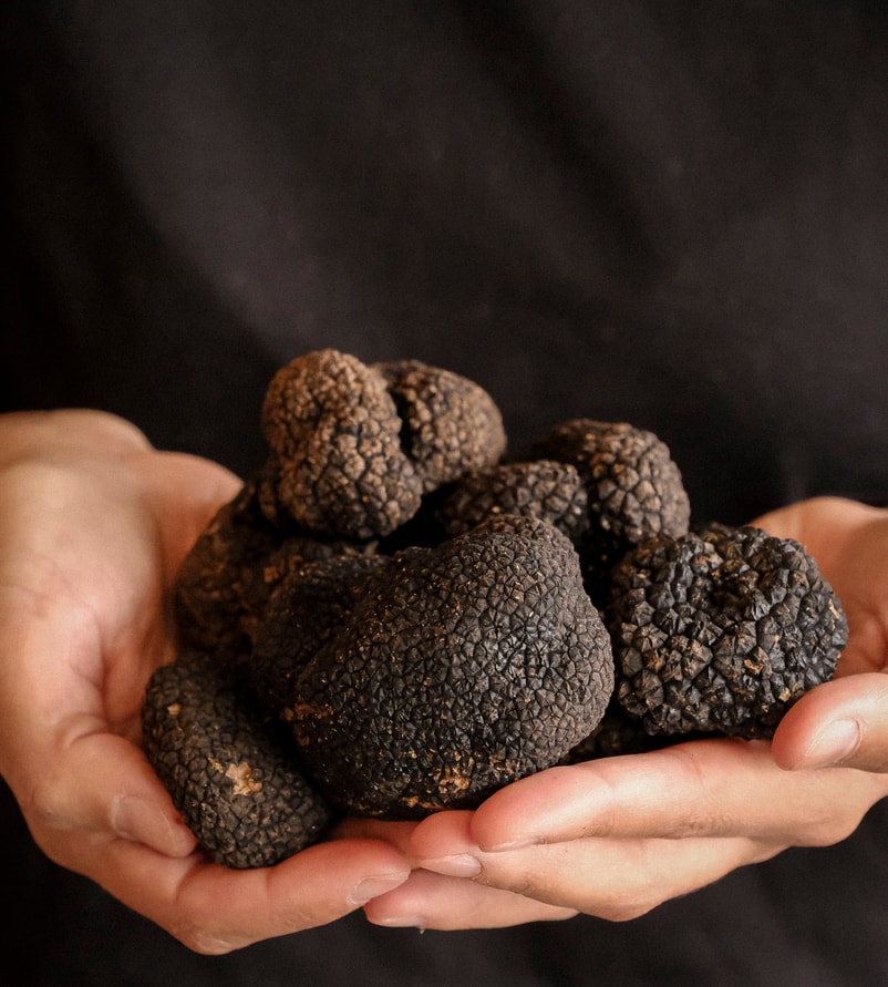 Smag på den Italienske topkvalitet: Lækre & lukulliske trøffel-vidundere fra Truffle Head 